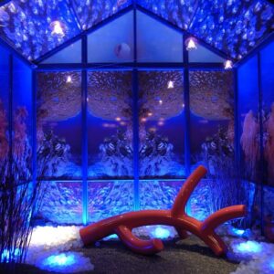 2006_AAAHHHAAA_giardino_marino