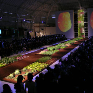 aaahhhaaa_slide-home017